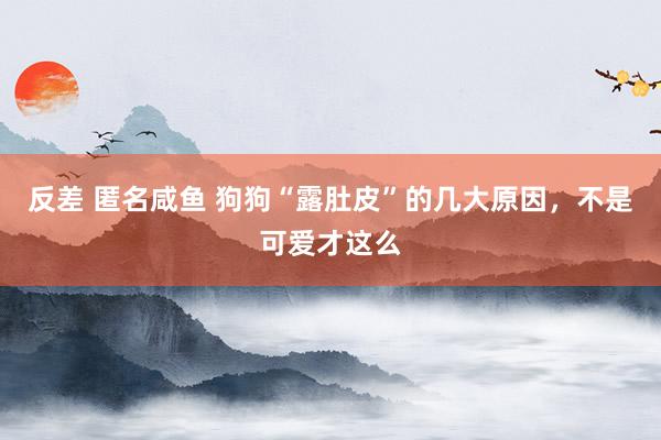 反差 匿名咸鱼 狗狗“露肚皮”的几大原因，不是可爱才这么