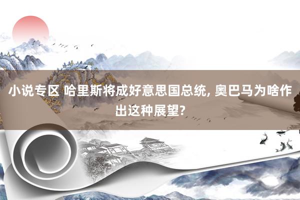小说专区 哈里斯将成好意思国总统， 奥巴马为啥作出这种展望?