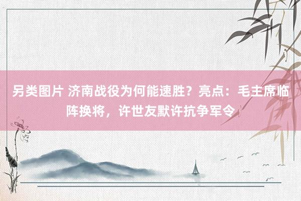 另类图片 济南战役为何能速胜？亮点：毛主席临阵换将，许世友默许抗争军令