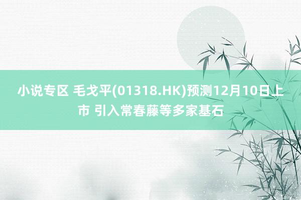 小说专区 毛戈平(01318.HK)预测12月10日上市 引入常春藤等多家基石