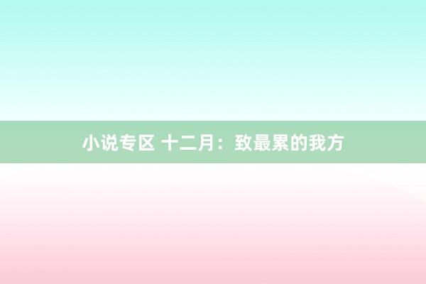 小说专区 十二月：致最累的我方