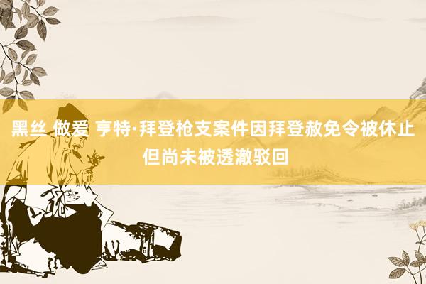 黑丝 做爱 亨特·拜登枪支案件因拜登赦免令被休止 但尚未被透澈驳回
