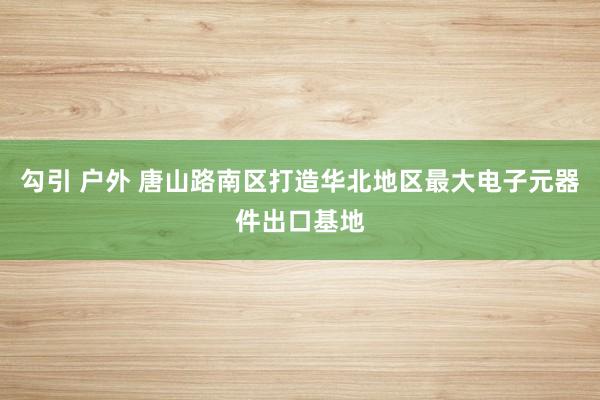 勾引 户外 唐山路南区打造华北地区最大电子元器件出口基地