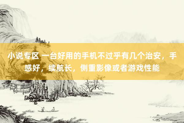 小说专区 一台好用的手机不过乎有几个治安，手感好，续航长，侧重影像或者游戏性能