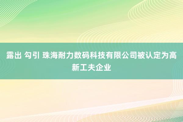 露出 勾引 珠海耐力数码科技有限公司被认定为高新工夫企业