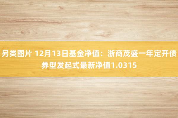 另类图片 12月13日基金净值：浙商茂盛一年定开债券型发起式最新净值1.0315