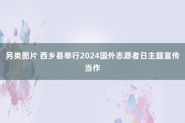 另类图片 西乡县举行2024国外志愿者日主题宣传当作