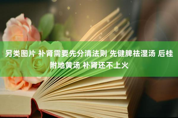 另类图片 补肾需要先分清法则 先健脾祛湿汤 后桂附地黄汤 补肾还不上火