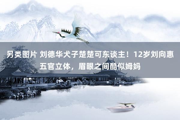 另类图片 刘德华犬子楚楚可东谈主！12岁刘向惠五官立体，眉眼之间酷似姆妈