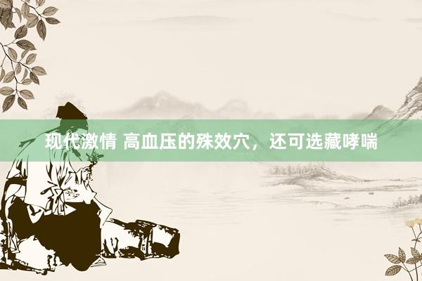 现代激情 高血压的殊效穴，还可选藏哮喘