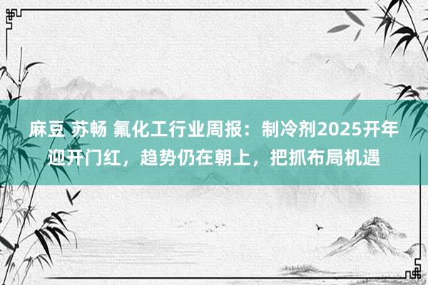 麻豆 苏畅 氟化工行业周报:制冷剂2025开年迎开门红,趋势仍在朝上,把抓布局机遇