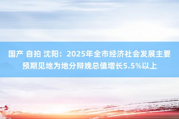 国产 自拍 沈阳：2025年全市经济社会发展主要预期见地为地分辩娩总值增长5.5%以上