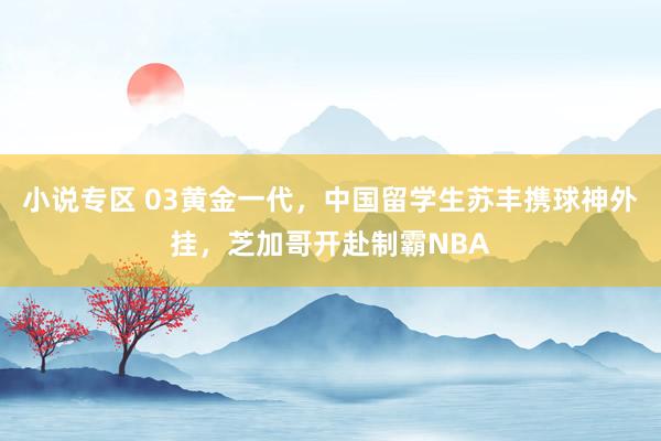 小说专区 03黄金一代，中国留学生苏丰携球神外挂，芝加哥开赴制霸NBA