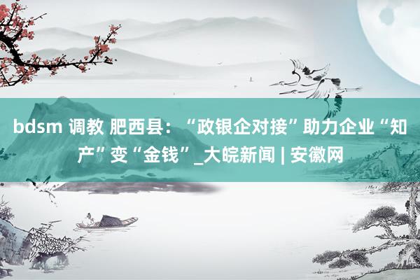 bdsm 调教 肥西县：“政银企对接”助力企业“知产”变“金钱”_大皖新闻 | 安徽网