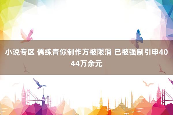 小说专区 偶练青你制作方被限消 已被强制引申4044万余元