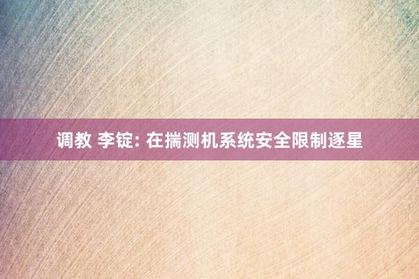 调教 李锭: 在揣测机系统安全限制逐星