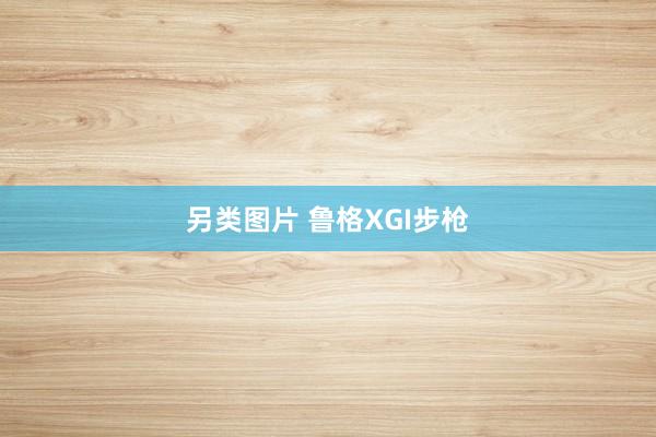 另类图片 鲁格XGI步枪