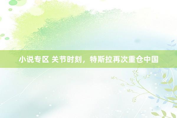 小说专区 关节时刻，特斯拉再次重仓中国