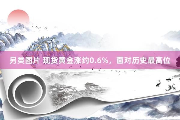 另类图片 现货黄金涨约0.6%，面对历史最高位