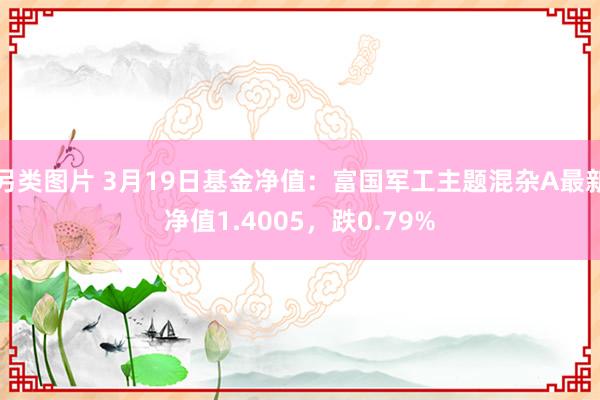 另类图片 3月19日基金净值：富国军工主题混杂A最新净值1.4005，跌0.79%