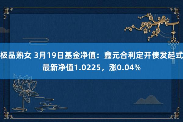 极品熟女 3月19日基金净值：鑫元合利定开债发起式最新净值1.0225，涨0.04%