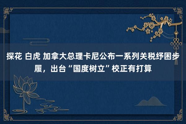 探花 白虎 加拿大总理卡尼公布一系列关税纾困步履，出台“国度树立”校正有打算