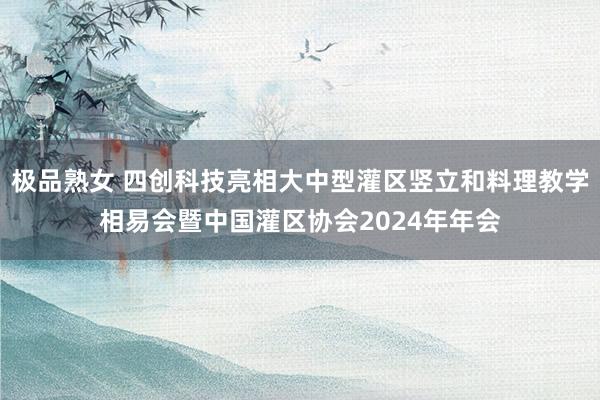 极品熟女 四创科技亮相大中型灌区竖立和料理教学相易会暨中国灌区协会2024年年会