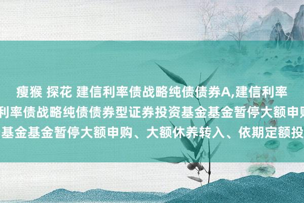 瘦猴 探花 建信利率债战略纯债债券A，建信利率债战略纯债债券C: 建信利率债战略纯债债券型证券投资基金基金暂停大额申购、大额休养转入、依期定额投资公告