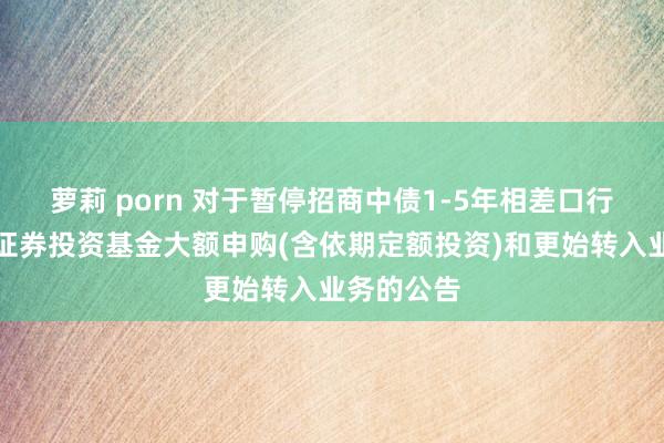 萝莉 porn 对于暂停招商中债1-5年相差口行债券指数证券投资基金大额申购(含依期定额投资)和更始转入业务的公告