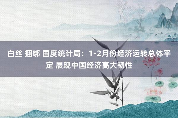 白丝 捆绑 国度统计局：1-2月份经济运转总体平定 展现中国经济高大韧性