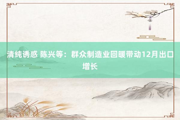 清纯诱惑 陈兴等：群众制造业回暖带动12月出口增长