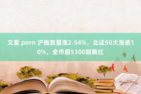 文爱 porn 沪指放量涨2.54%，北证50大涨逾10%，全市超5300股飘红