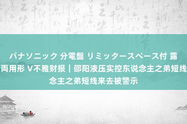 パナソニック 分電盤 リミッタースペース付 露出・半埋込両用形 V不雅财报｜邵阳液压实控东说念主之弟短线来去被警示