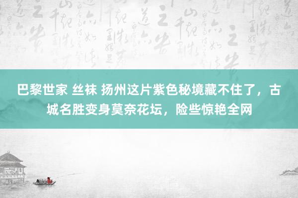 巴黎世家 丝袜 扬州这片紫色秘境藏不住了，古城名胜变身莫奈花坛，险些惊艳全网