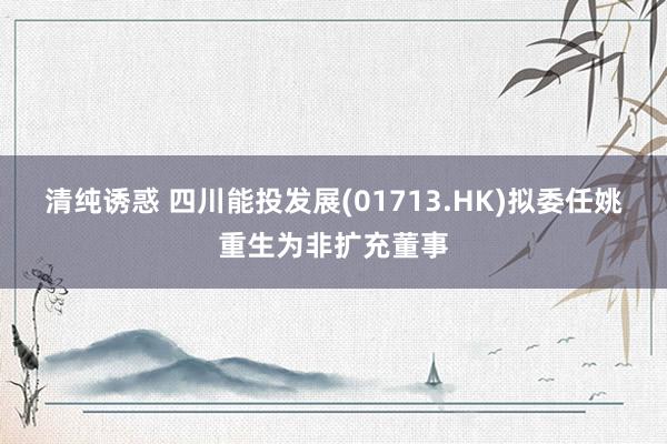 清纯诱惑 四川能投发展(01713.HK)拟委任姚重生为非扩充董事