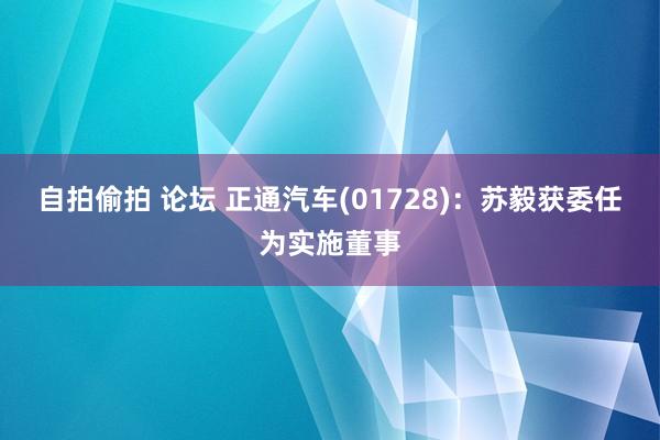 自拍偷拍 论坛 正通汽车(01728)：苏毅获委任为实施董事
