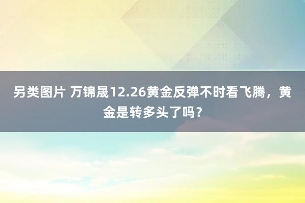 另类图片 万锦晟12.26黄金反弹不时看飞腾，黄金是转多头了吗？