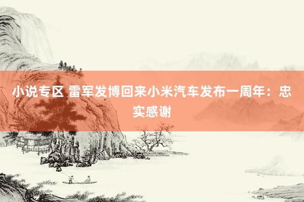 小说专区 雷军发博回来小米汽车发布一周年：忠实感谢