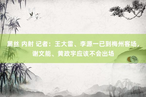 黑丝 内射 记者：王大雷、李源一已到梅州客场，谢文能、黄政宇应该不会出场