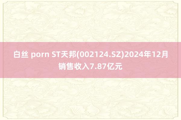 白丝 porn ST天邦(002124.SZ)2024年12月销售收入7.87亿元