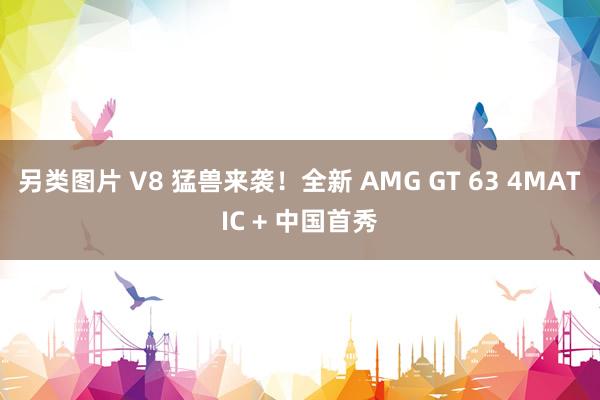 另类图片 V8 猛兽来袭!全新 AMG GT 63 4MATIC + 中国首秀