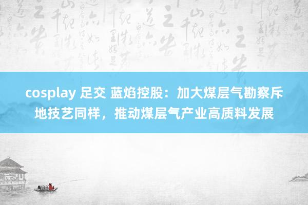 cosplay 足交 蓝焰控股：加大煤层气勘察斥地技艺同样，推动煤层气产业高质料发展