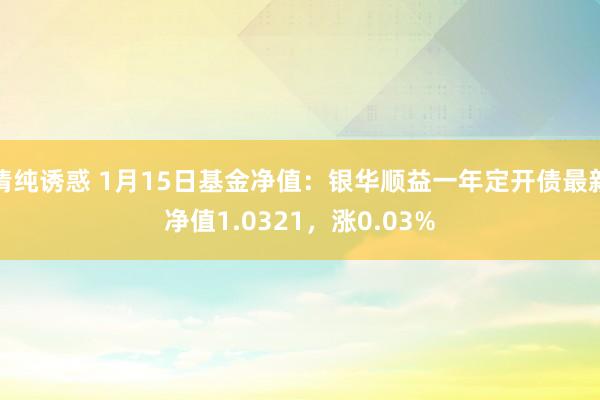 清纯诱惑 1月15日基金净值：银华顺益一年定开债最新净值1.0321，涨0.03%