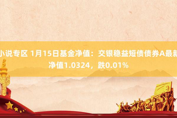 小说专区 1月15日基金净值：交银稳益短债债券A最新净值1.0324，跌0.01%