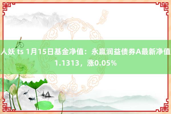人妖 ts 1月15日基金净值：永赢润益债券A最新净值1.1313，涨0.05%