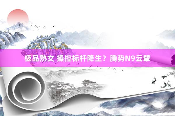 极品熟女 操控标杆降生？腾势N9云辇