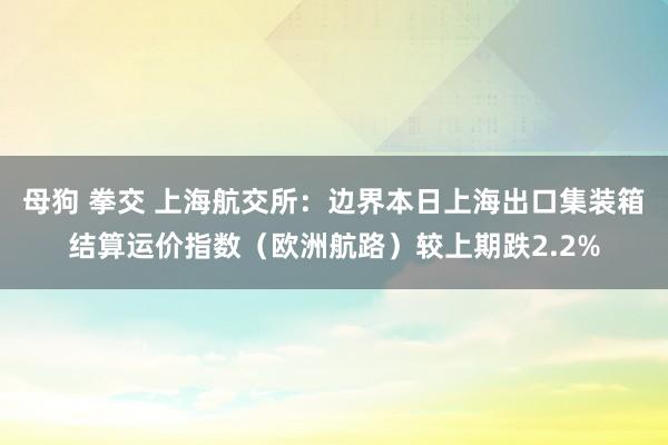 母狗 拳交 上海航交所：边界本日上海出口集装箱结算运价指数（欧洲航路）较上期跌2.2%