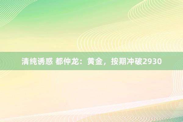 清纯诱惑 都仲龙：黄金，按期冲破2930