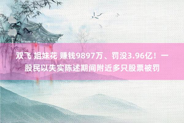 双飞 姐妹花 赚钱9897万、罚没3.96亿！一股民以失实陈述期间附近多只股票被罚