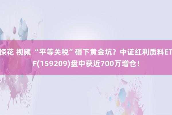 探花 视频 “平等关税”砸下黄金坑？中证红利质料ETF(159209)盘中获近700万增仓！